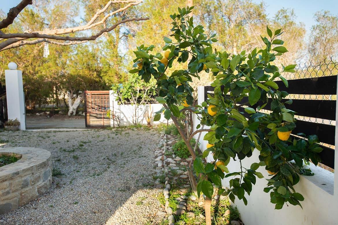 Afrathias Beachhouse - Cretan Hideaway Kalamaki  Exterior photo